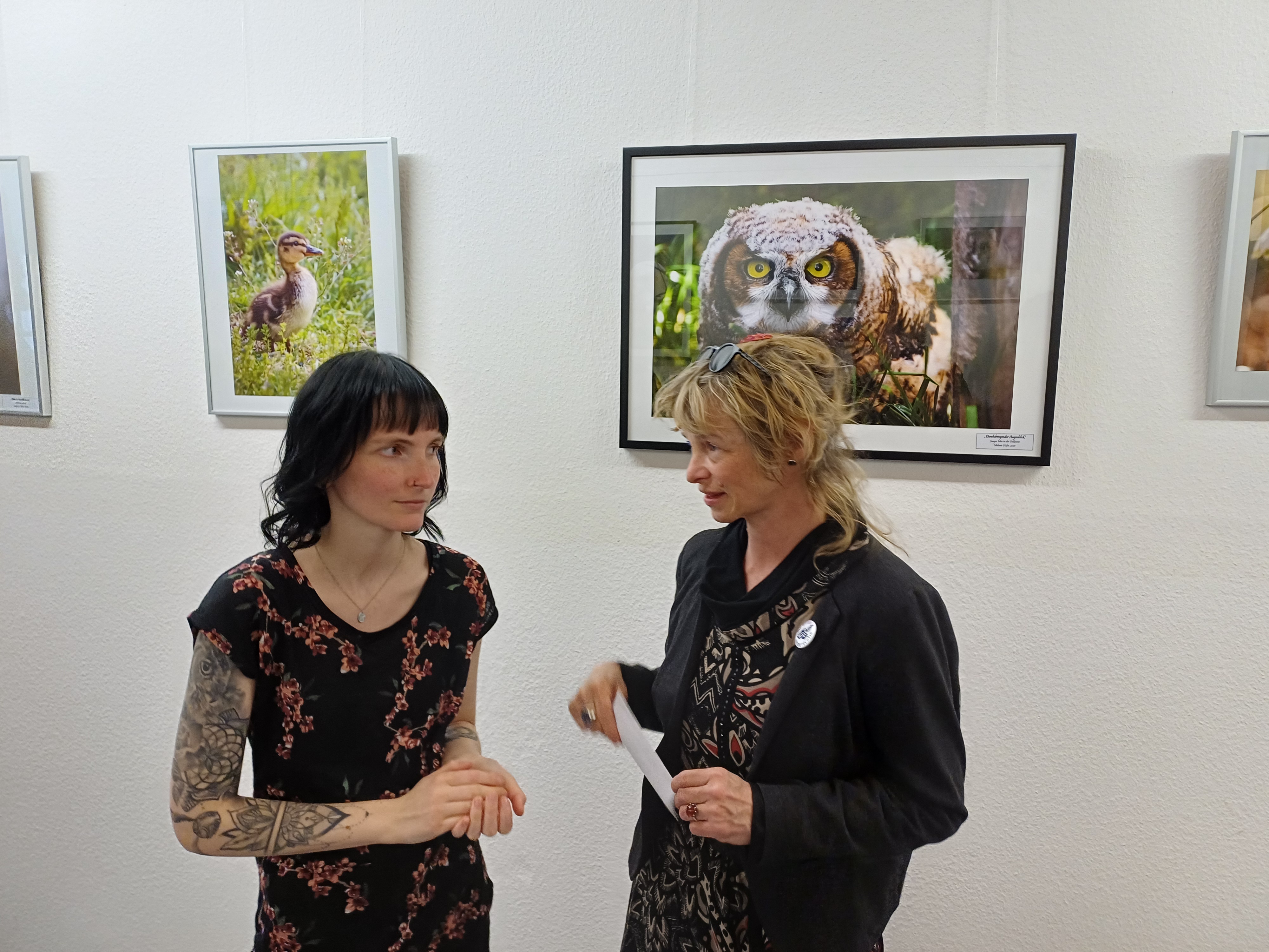 Ausstellung Melanie Höfer